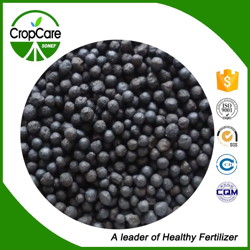 Hot Sell Granular Organic Fertilizer NPK